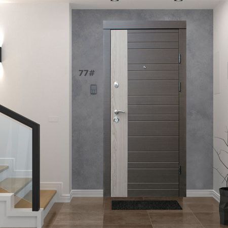 edoor1